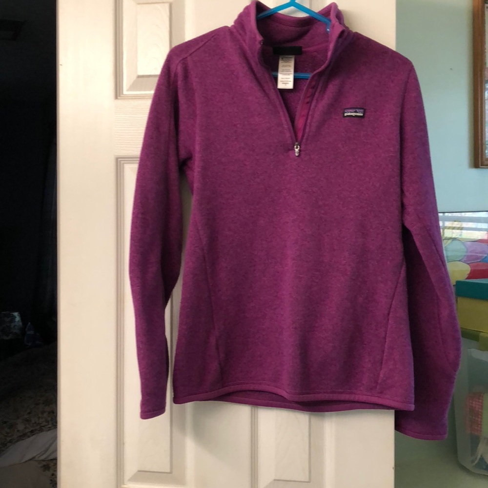 Purple Patagonia pullover.